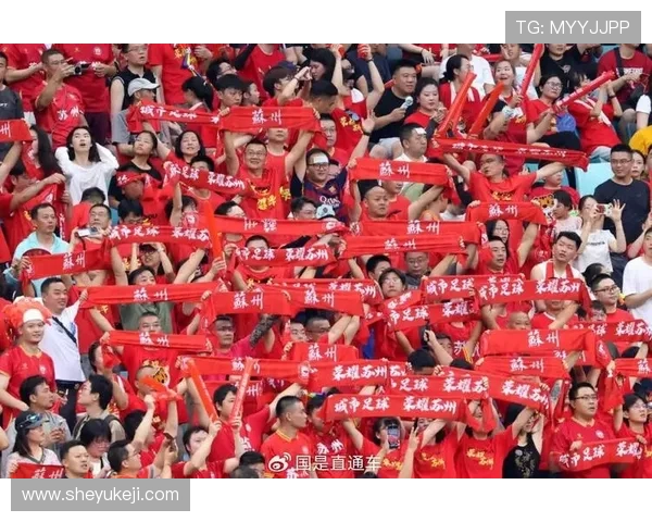 苏超球迷赛后 “最帅捡垃圾” 人走场净成文明标杆(2)